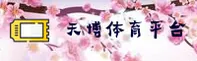功能与服务详解